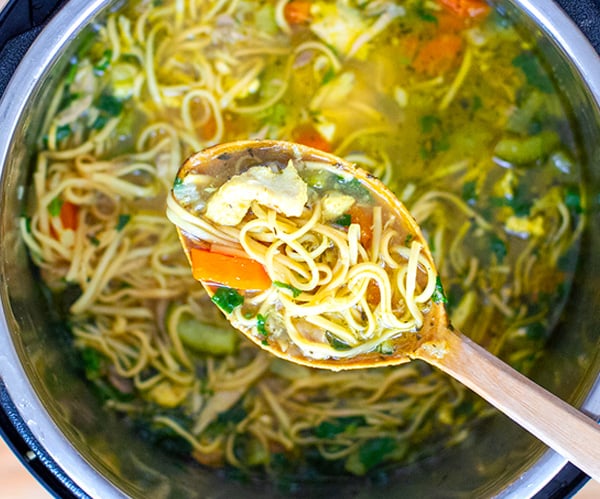 Instant Pot Chicken Noodles Soup