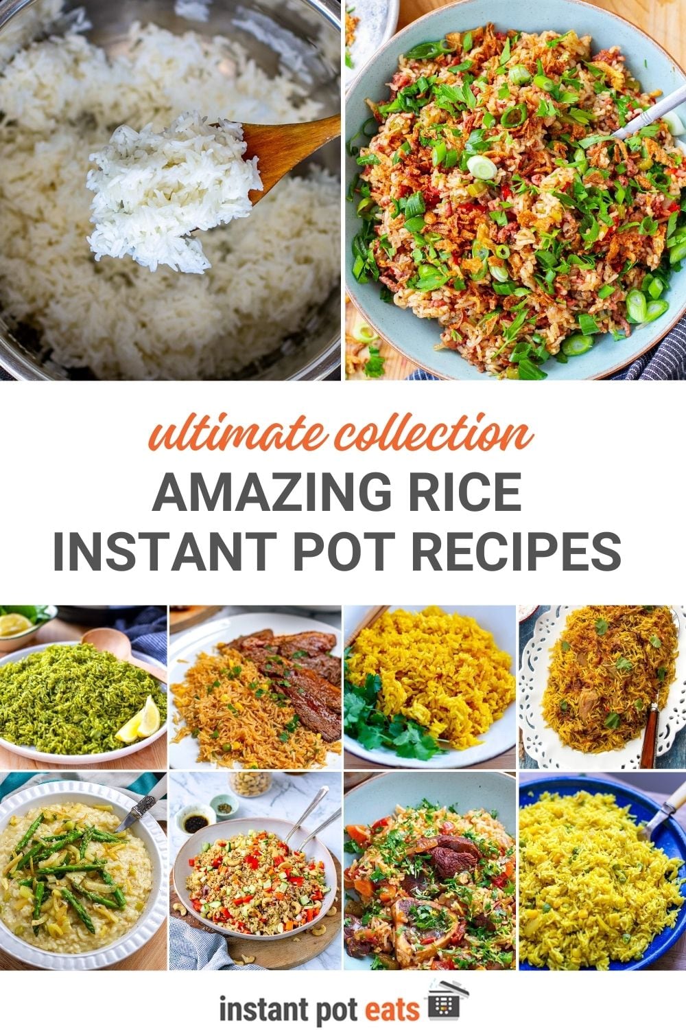 Instant Pot Rice Dishes