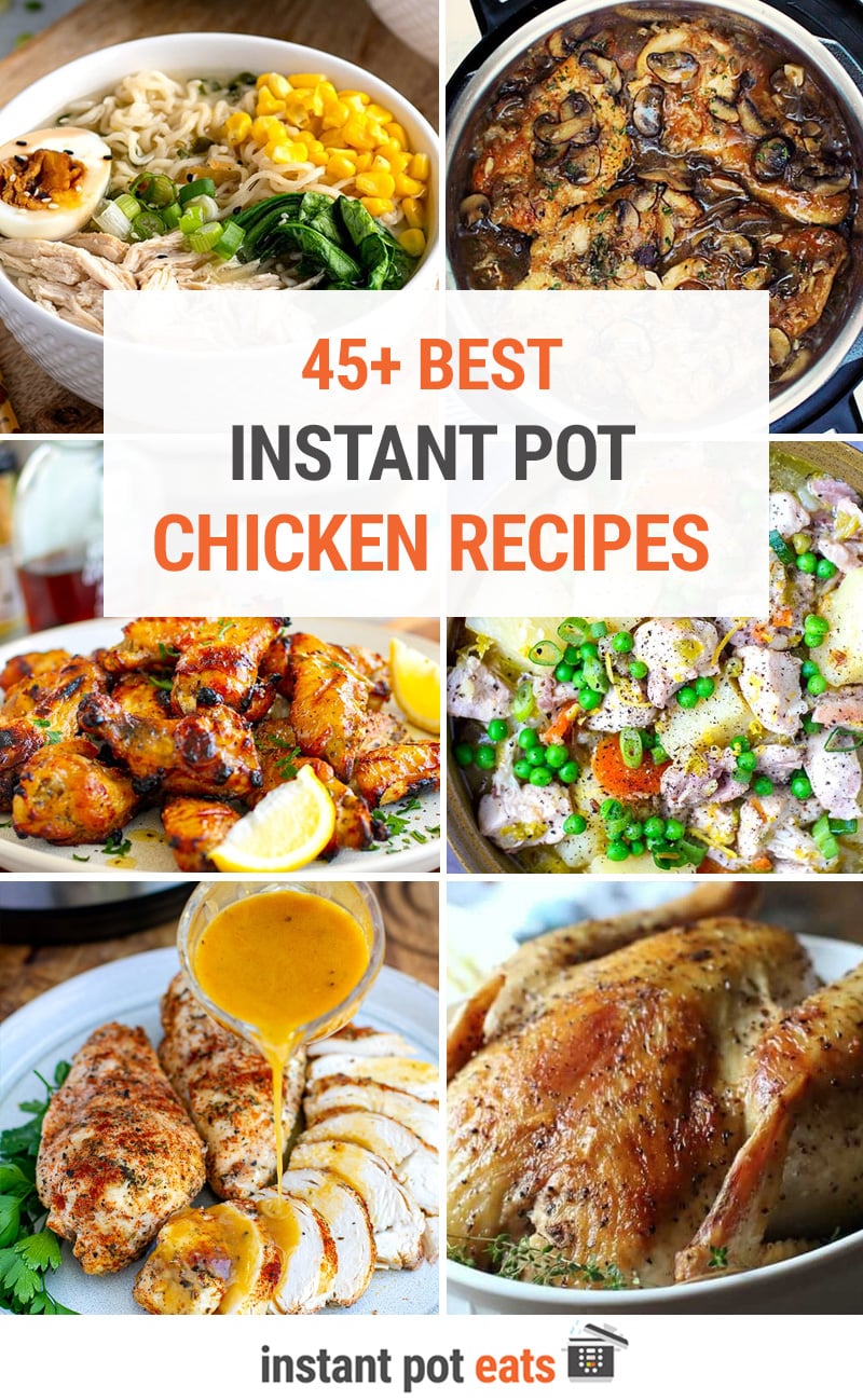 45+ Best Instant Pot Chicken Recipes