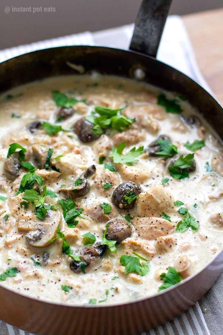 creamy instant pot chicken mushroom stew