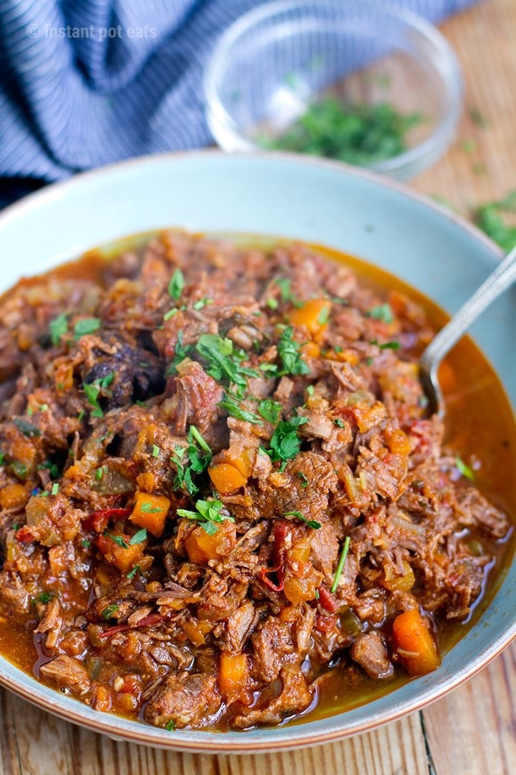 Slow Cooker Instant Pot Beef Ragu – Modern Honey