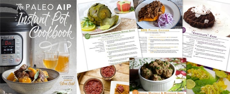 The Paleo AIP Instant Pot Cookbook by Eileen Laird