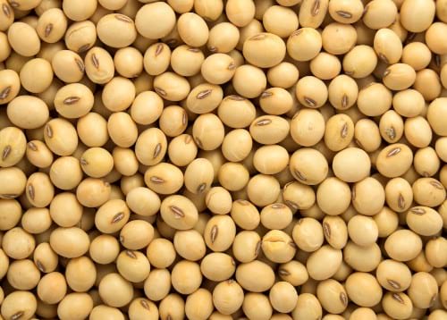 Soybeans in Instant pot