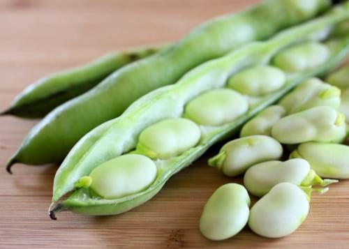 Fava Beans in Instant Pot