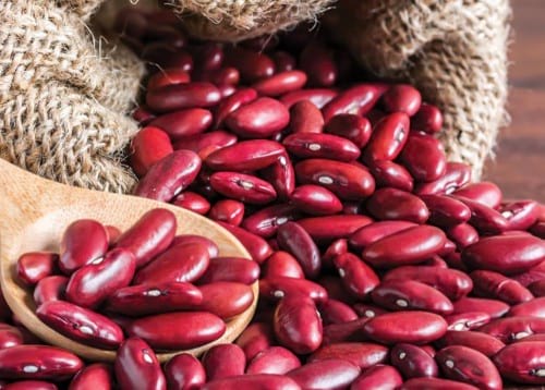 Kidney Beans in Instant Pot