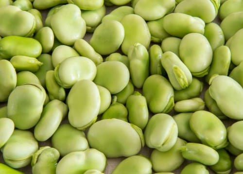 Lima Beans in Instant Pot