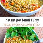 Lentil Curry In Instant Pot