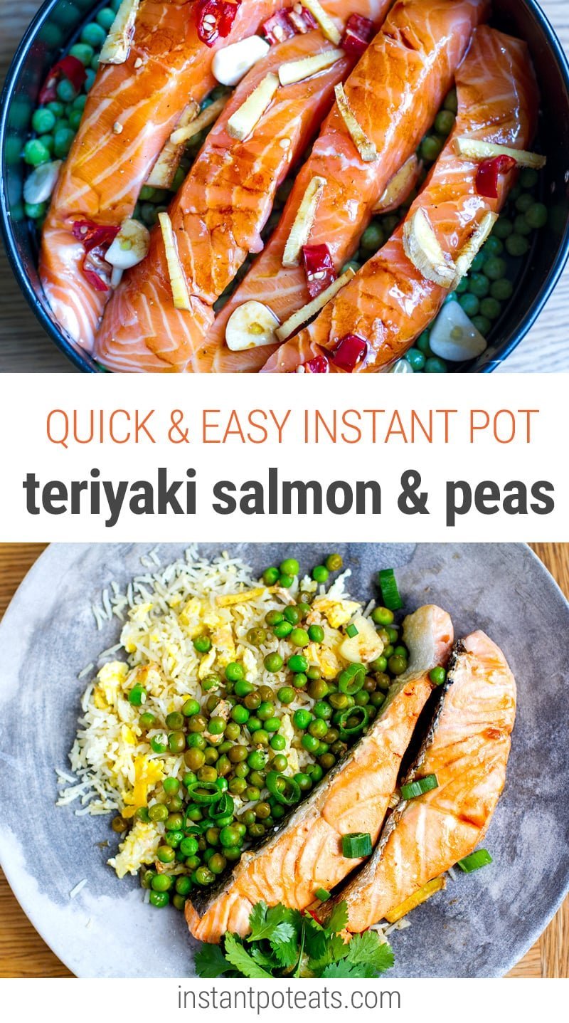 Omni Pro – Roasted Teriyaki Salmon – Instant Pot Recipes