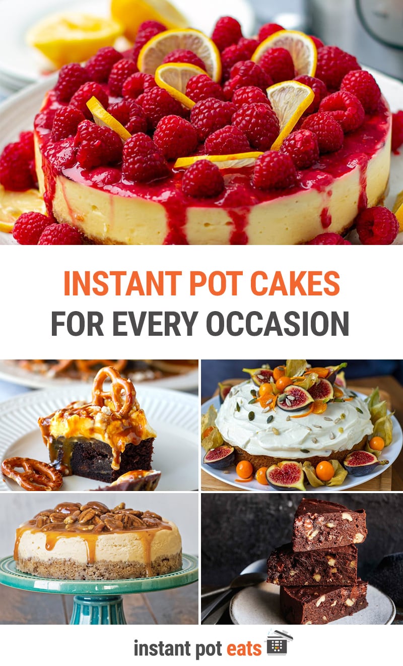 15 Best Instant Pot Cake Recipes For Every Occasion