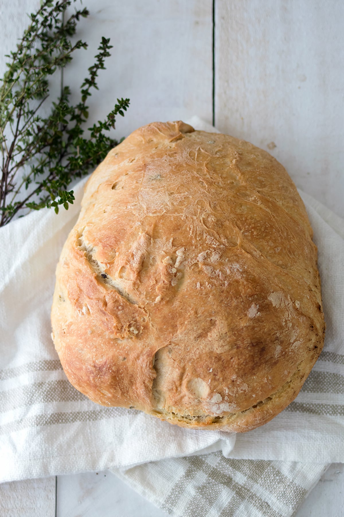 Vegan Bread in the Instant Pot