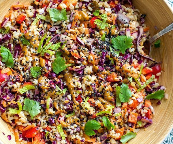 instant-pot-brown-rice-salad-feature-2