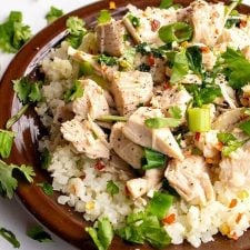 Instant Pot Savory Chicken-image