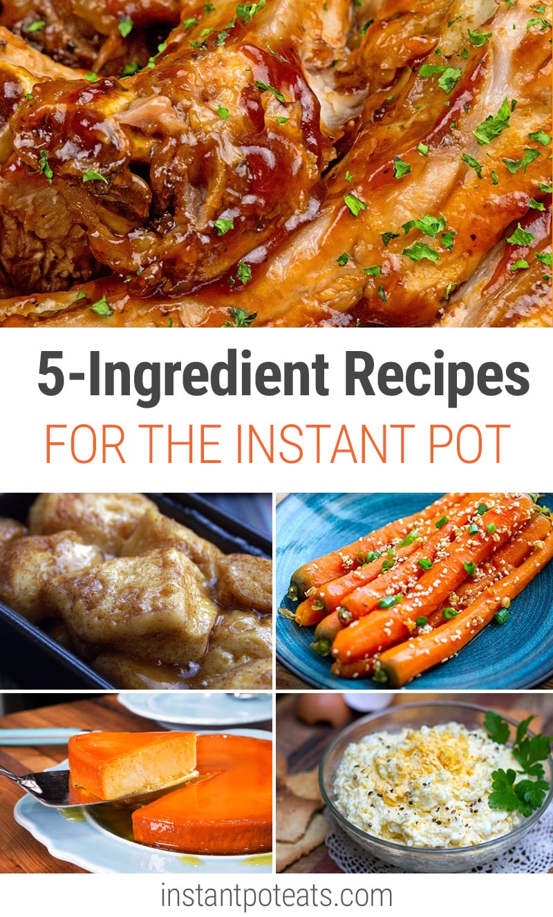 Easy Instant Pot 5-Ingredient Recipes