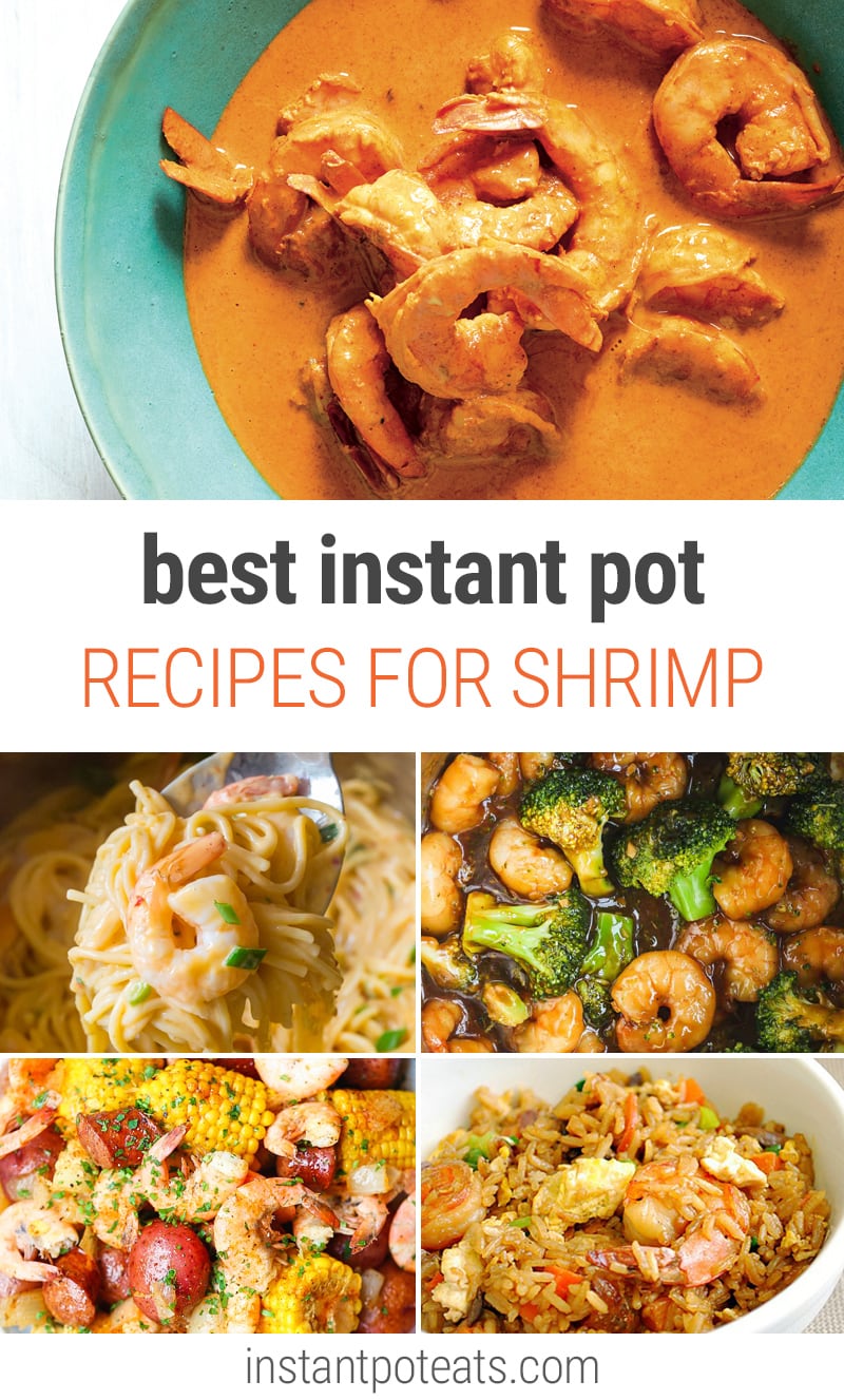 Instant Pot Shrimp Recipes 