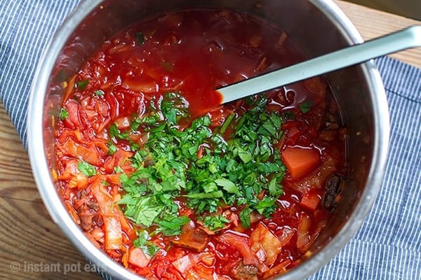 INSTANT POT BORSCHT (BEET SOUP)