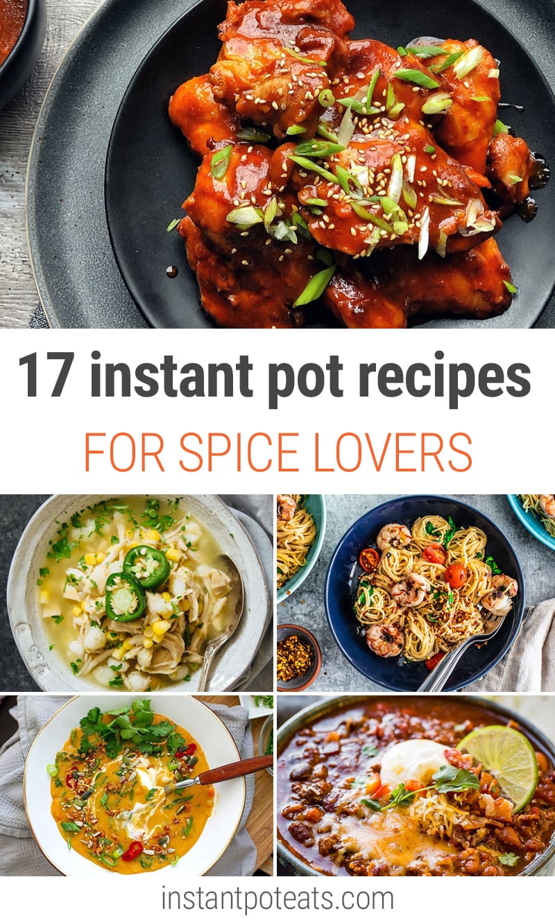 17 Instant Pot Recipes For Spice Lovers