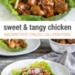Instant Pot Sweet & tangy Chicken (Paleo, Gluten-Free)
