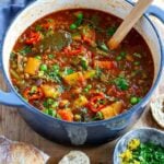 Instant Pot Vegetable Stew Recipe