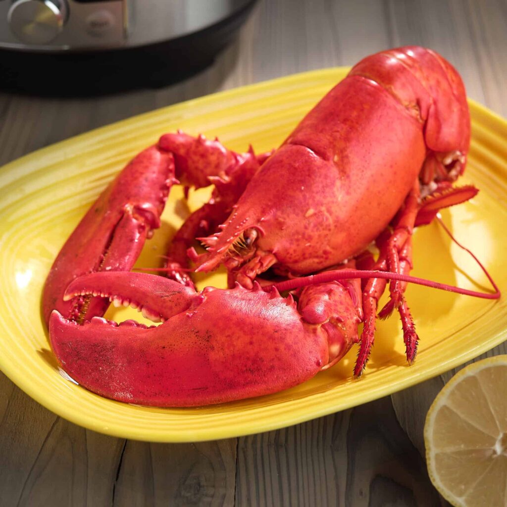 Instant Pot Steamed Lobster