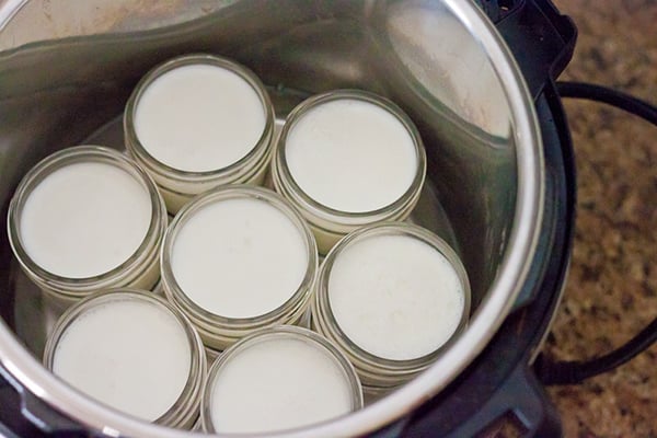 Instant Pot Greek Yogurt Recipe (Cold Start)