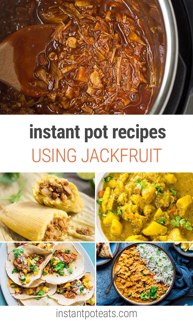Instant Pot Jackfruit Recipes (Plant-Based)