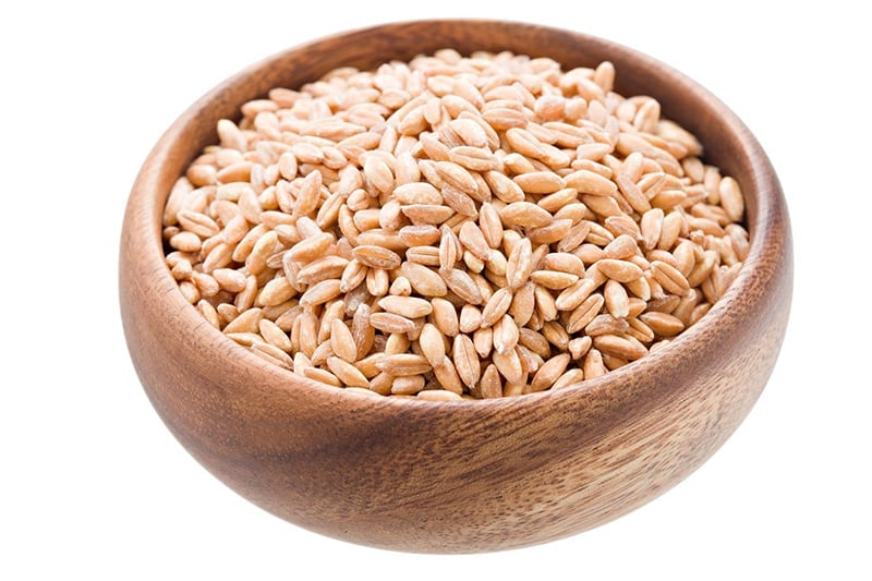 What is farro grain?