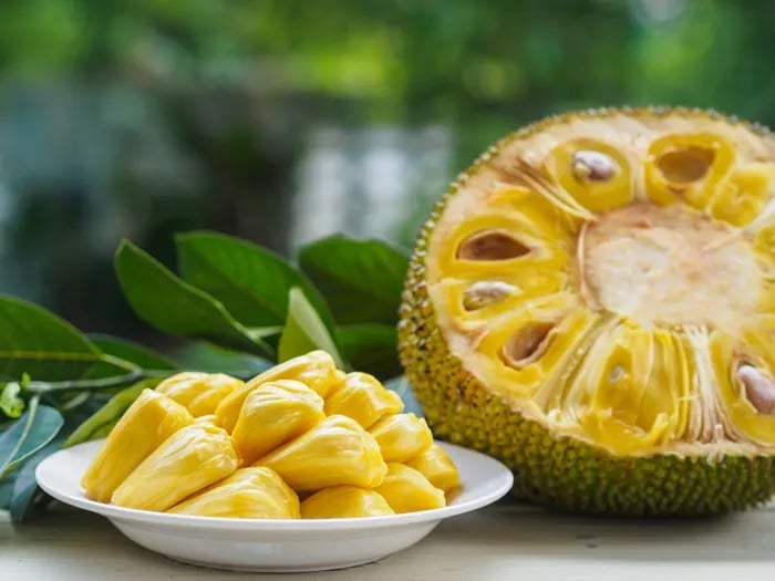 what is jackfruit