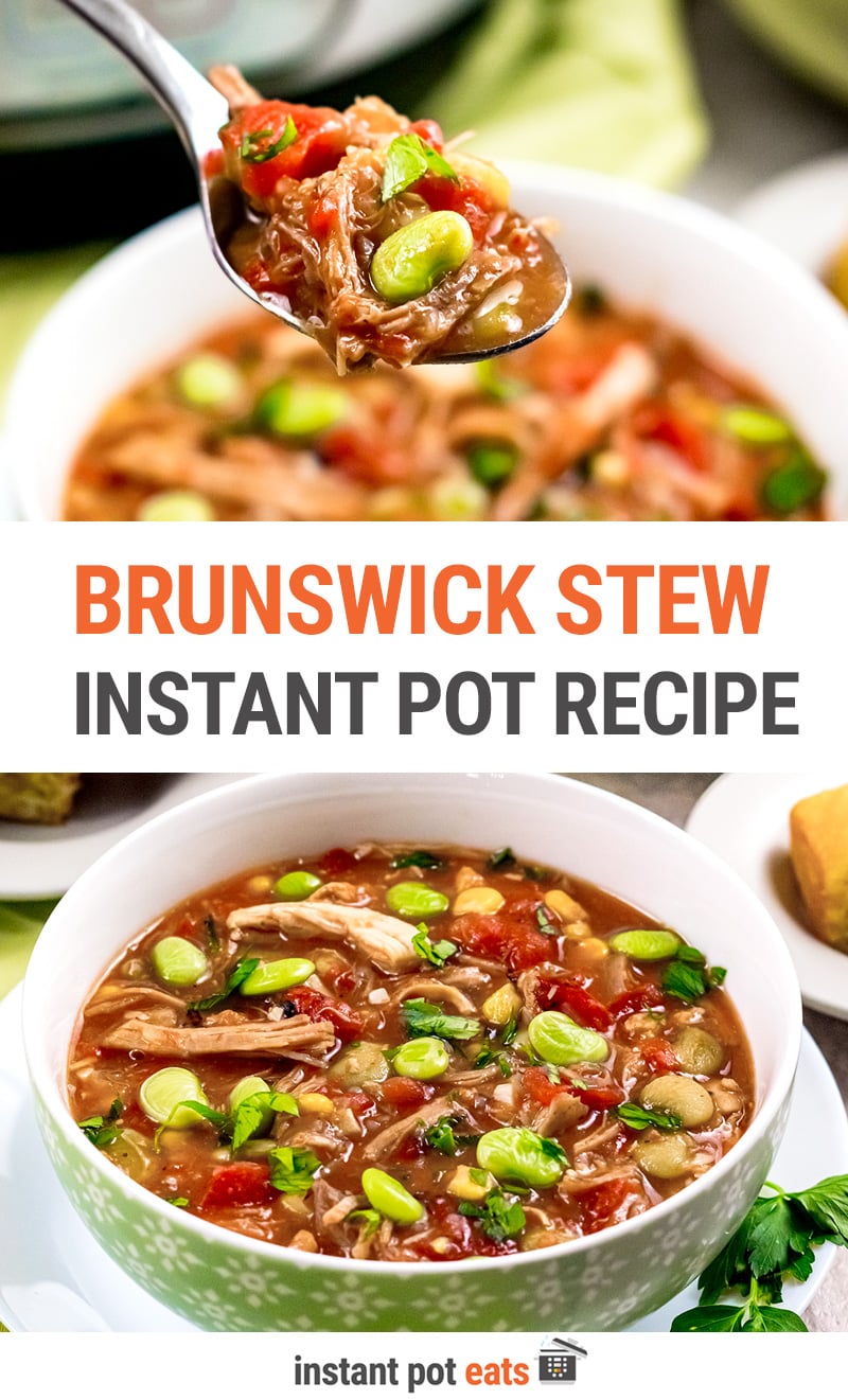 Instant Pot Brunswick Stew Recipe
