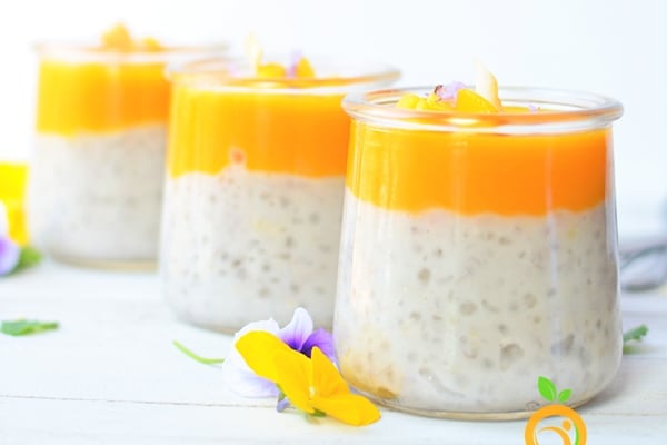 Instant Pot Tapioca Pudding