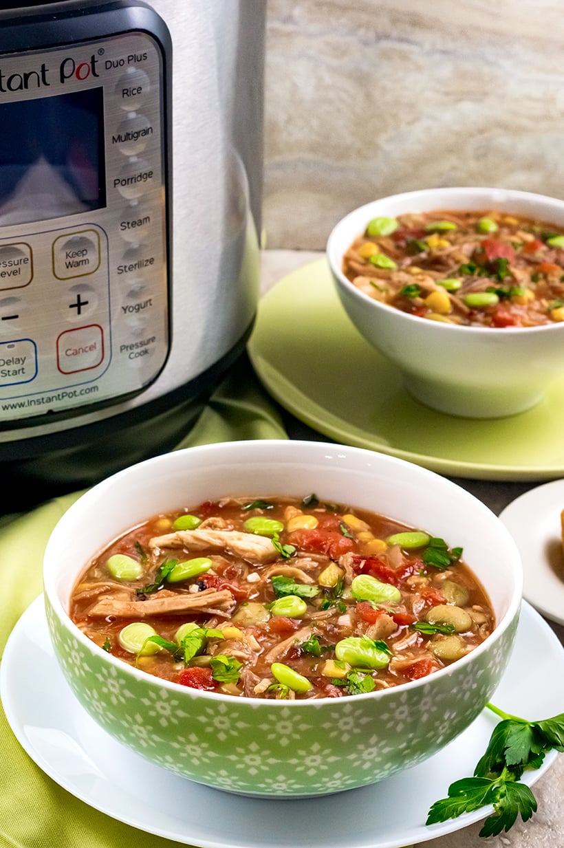 Instant Pot Brunswick Stew Recipe