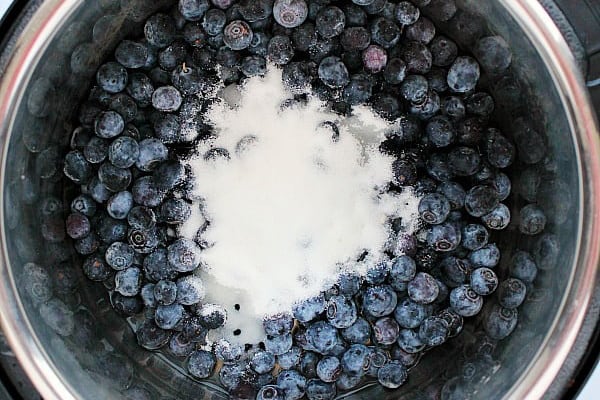 Instant Pot Blueberry Jam