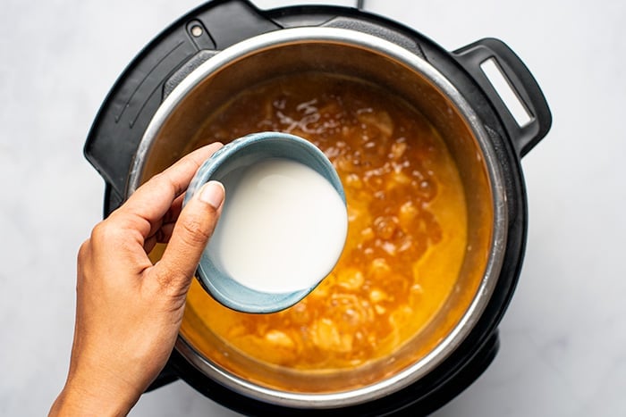 Instant Pot Basics - dummies