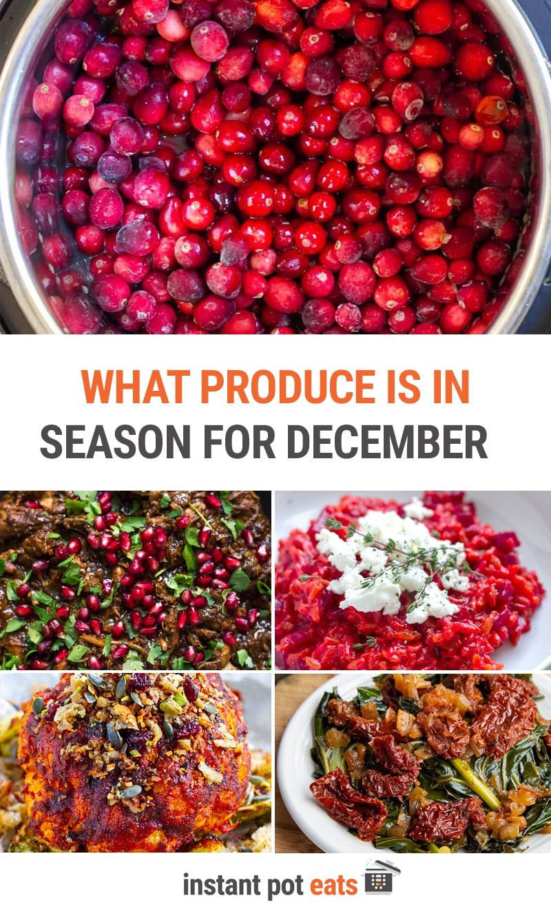 What To Cook In Your Instant Pot In December