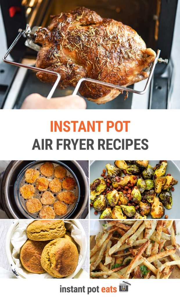 Instant Pot Air Fryer Recipes (Duo Crisp Lid, Vortex Oven, Basket)