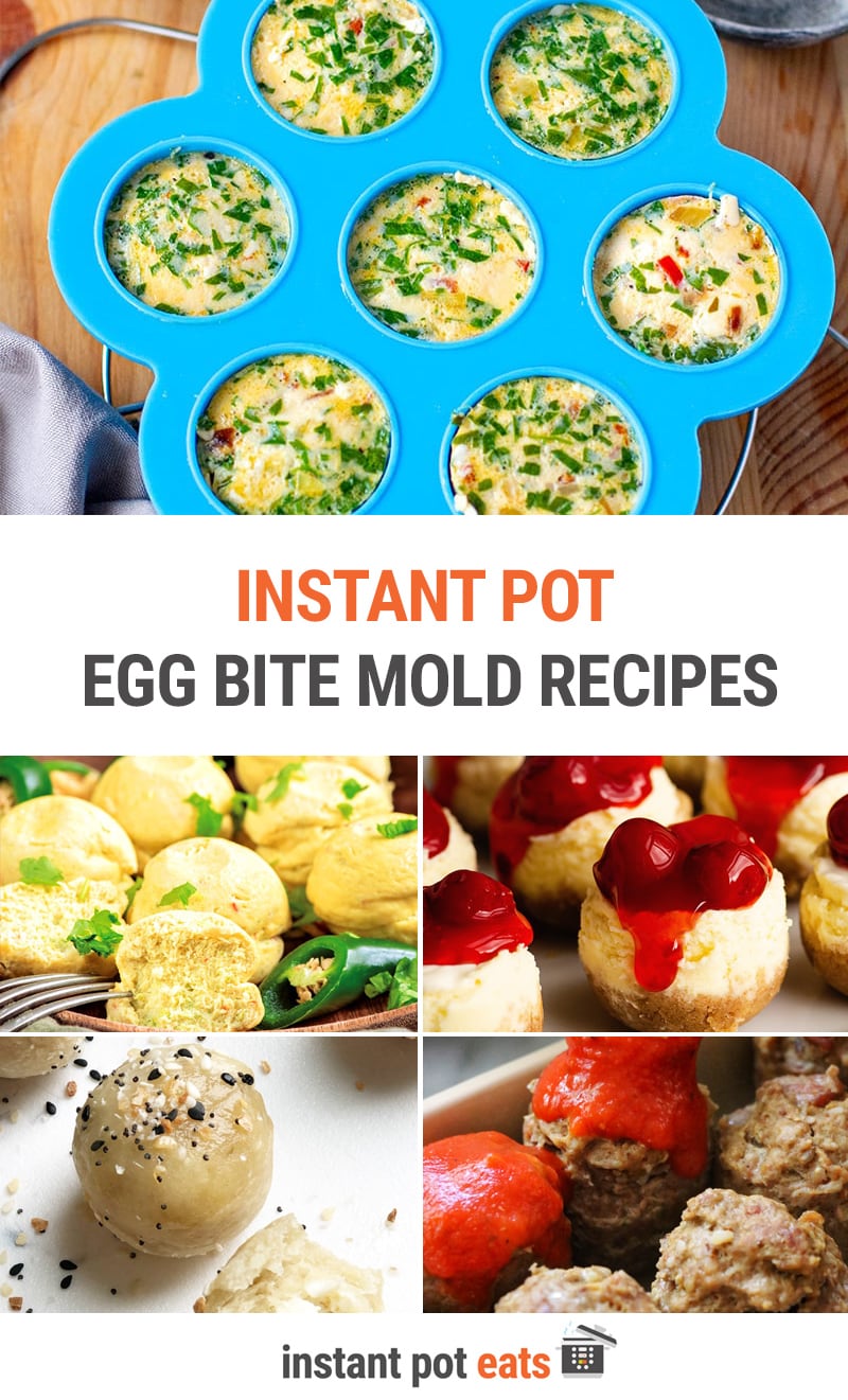 Instant Pot egg bite mold recipes (you can make so much more than eggs in Instant  Pot silicone molds!) - Fab Everyday