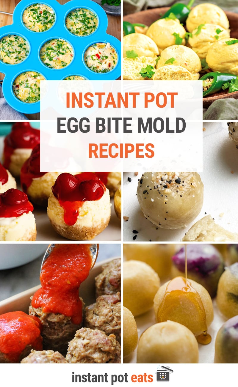 Instant Pot Egg Bite Mold Recipes (More Than Eggs!)