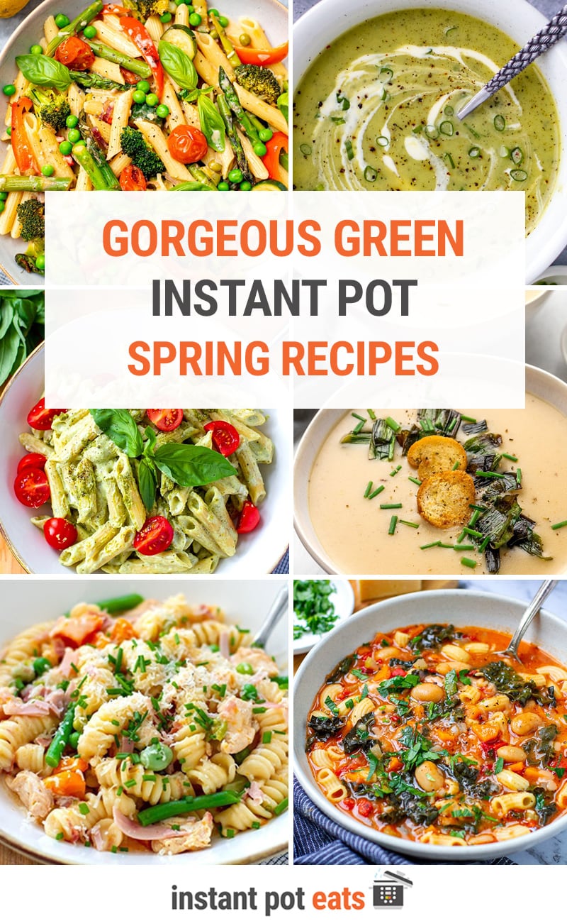 Best Instant Pot Spring Recipes