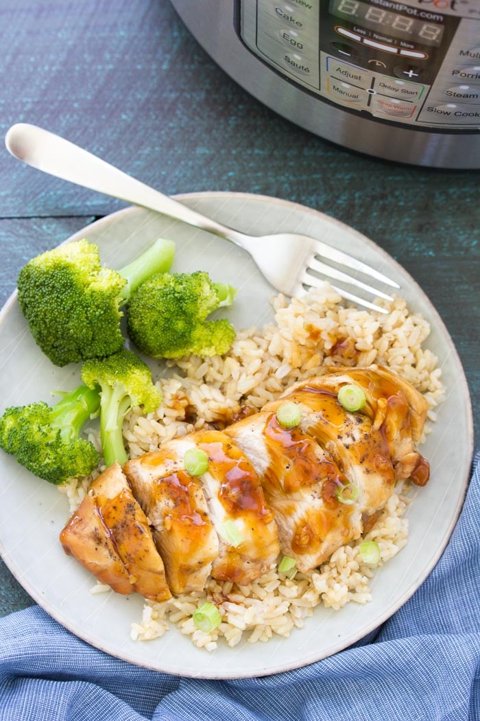 Instant Pot Frozen Chicken Recipes