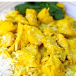 Instant Pot Coconut Chicken Curry (Only 5 Ingredients!)
