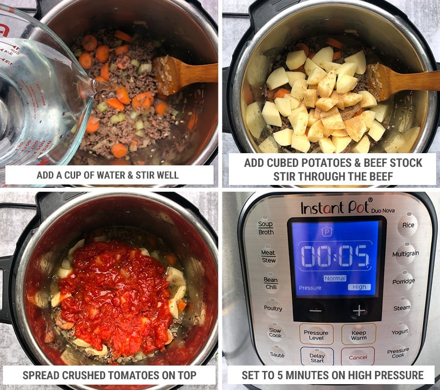 Hamburger stew discount recipe instant pot