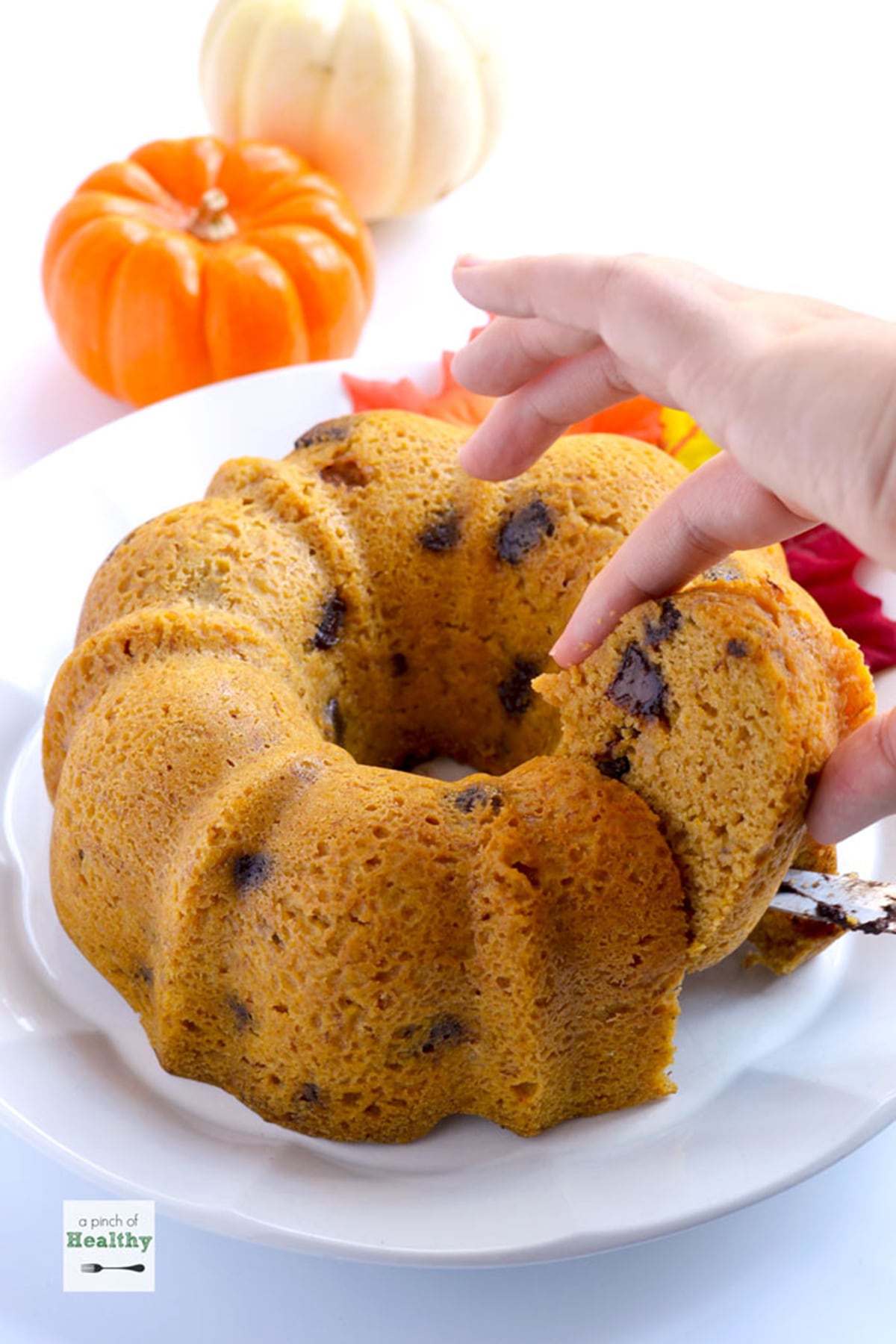 Pumpkin Chocolate Chip Cake