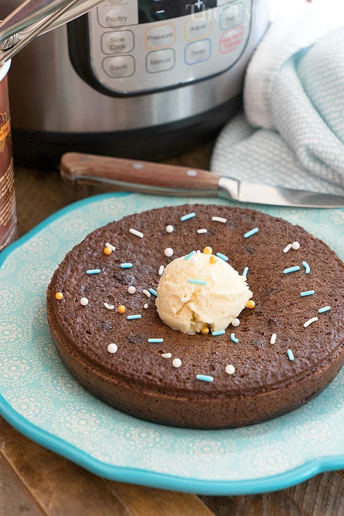 Instant Pot Chocolate Pudding Cake