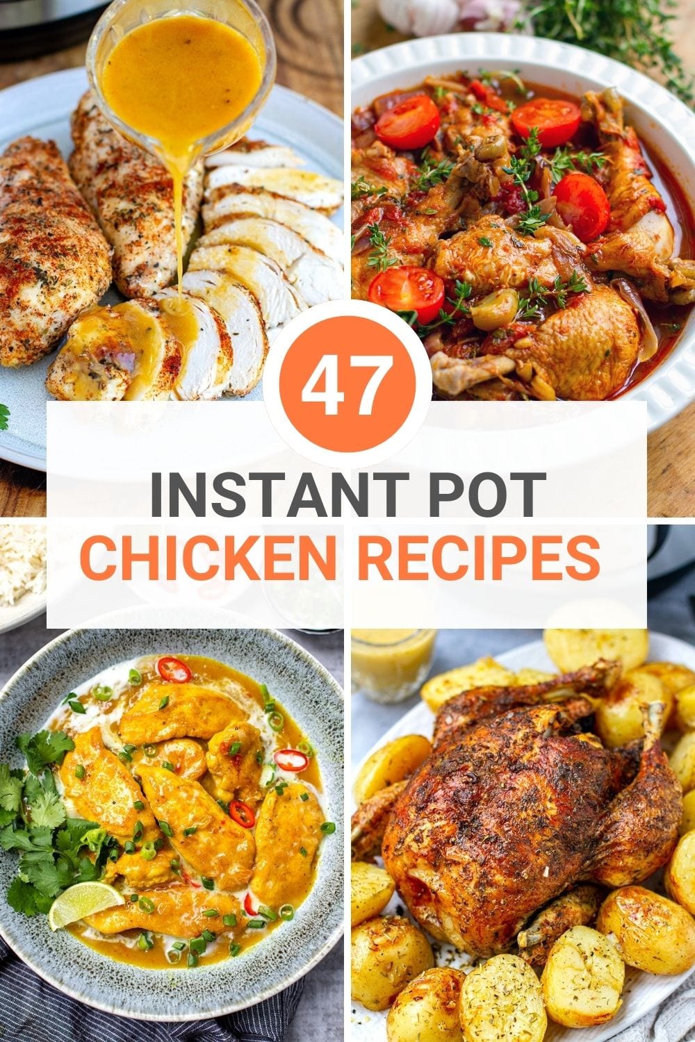 instant pot chicken recipes pin image