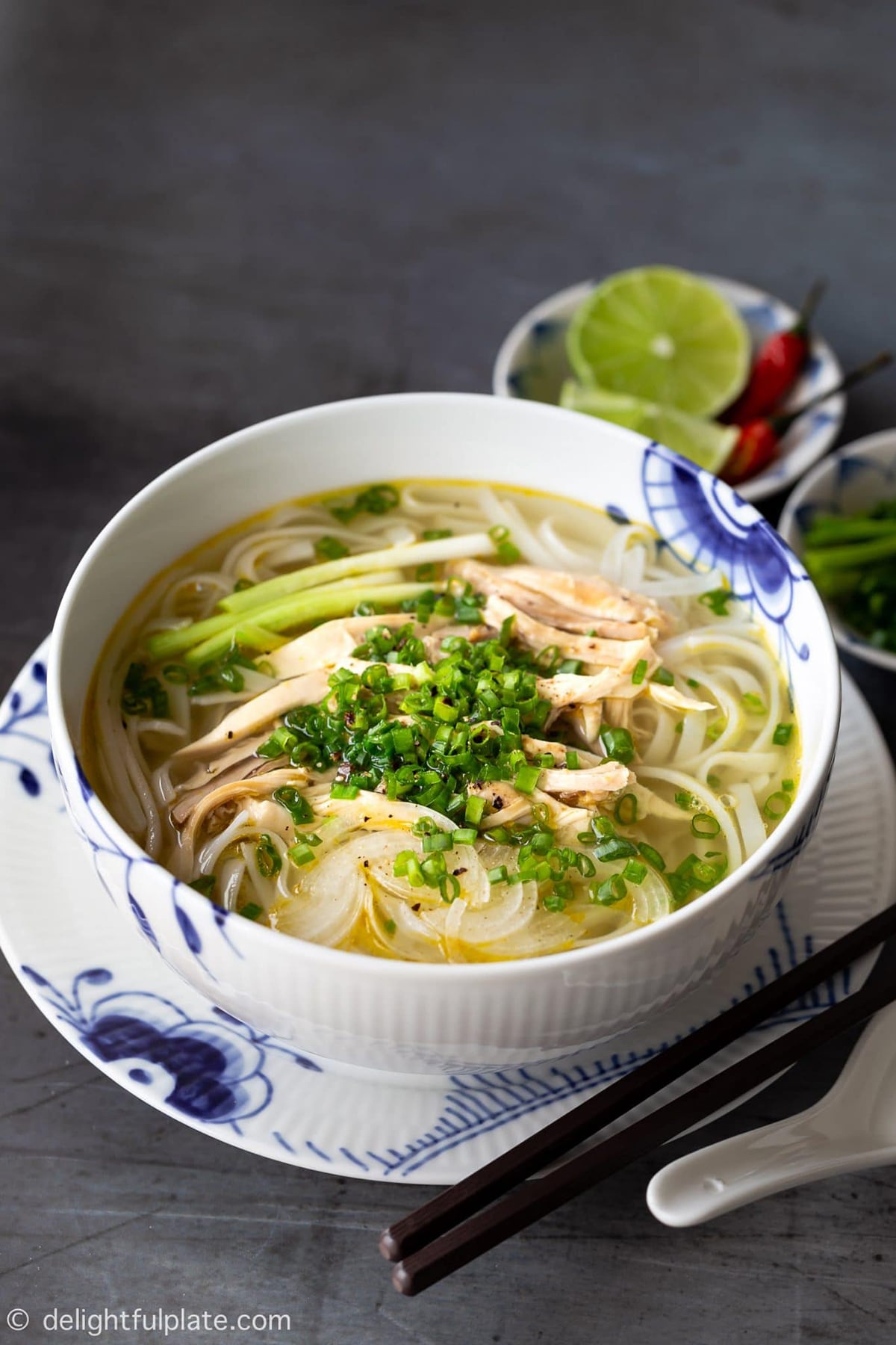 Pho Ga (Vietnamese Chicken Noodle Soup)