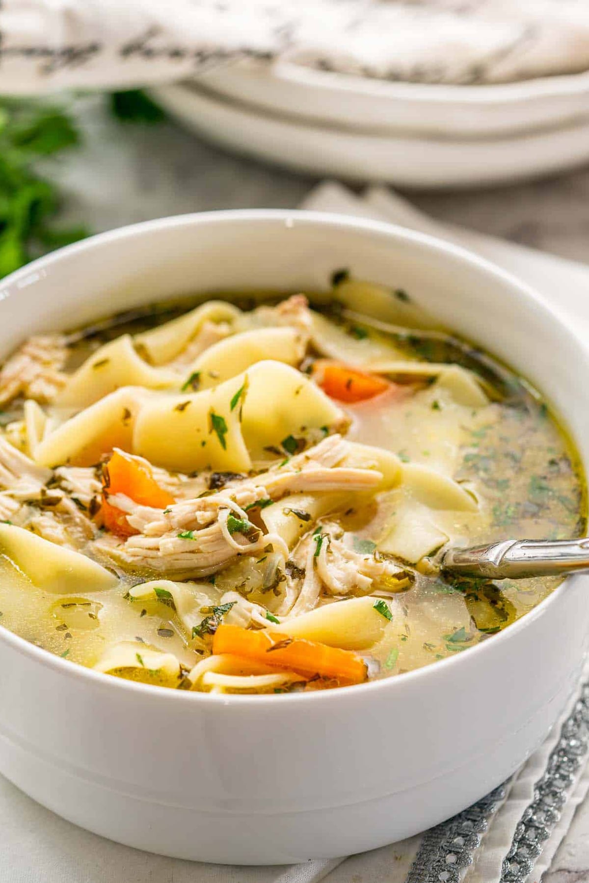 Asian chicken noodle soup instant pot sale