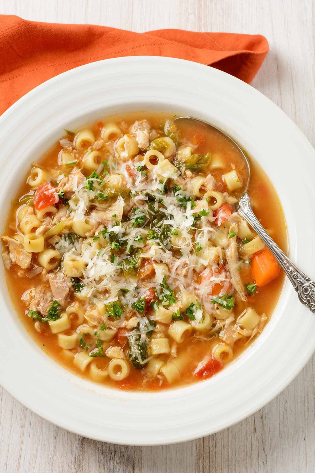 Instant Pot Italian Chicken Soup