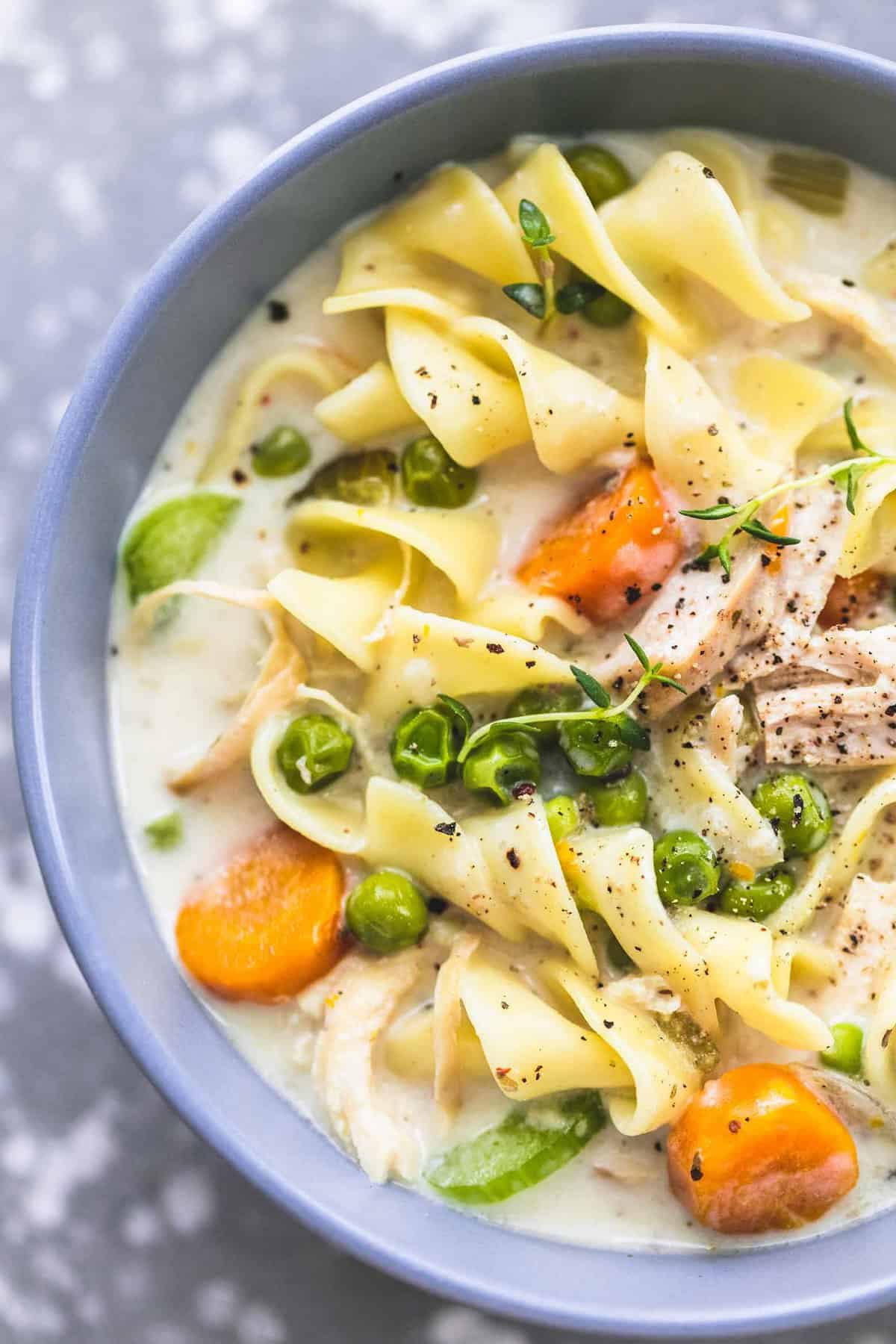 Instant Pot Creamy Chicken Noodle Soup