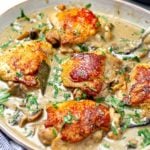 Instant Pot Chicken Fricassee Recipe