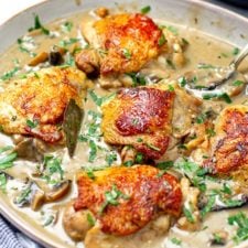 Instant Pot Chicken Fricassee Recipe-image