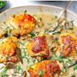 Creamy Chicken Fricassee Recipe For Instant Pot